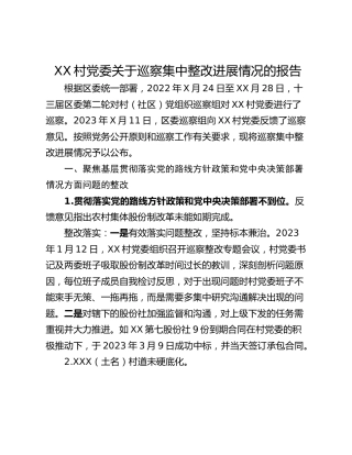 XX村党委关于巡察集中整改进展情况的报告