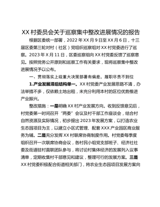 XX村委员会关于巡察集中整改进展情况的报告