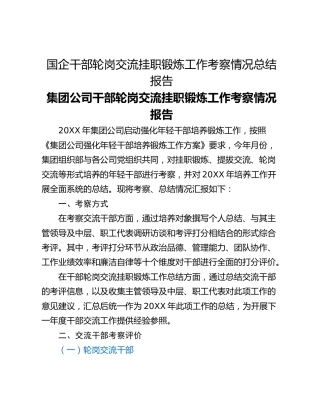 国企干部轮岗交流挂职锻炼工作考察情况总结报告