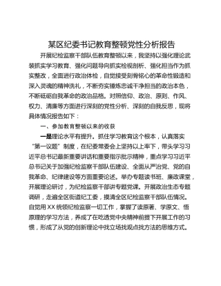 某区纪委书记教育整顿党性分析报告
