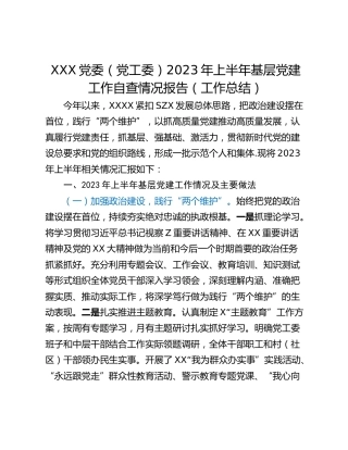 XXX党委（党工委）2023年上半年基层党建工作自查情况报告（工作总结）