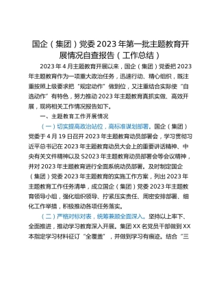 国企（集团）党委2023年第一批主题教育开展情况自查报告（工作总结）