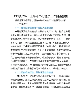 XX镇2023上半年书记述法工作自查报告