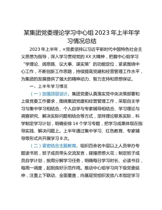 某集团党委理论学习中心组2023年上半年学习情况总结