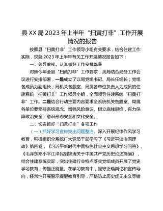 县XX局2023年上半年“扫黄打非”工作开展情况的报告