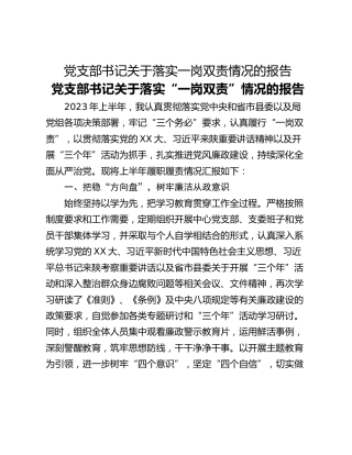 党支部书记关于落实一岗双责情况的报告