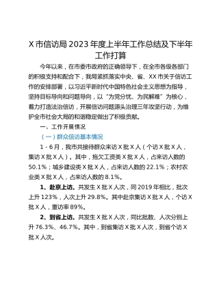 X市信访局2023年度上半年工作总结及下半年工作打算
