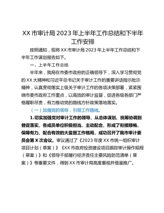XX市审计局2023年上半年工作总结和下半年工作安排