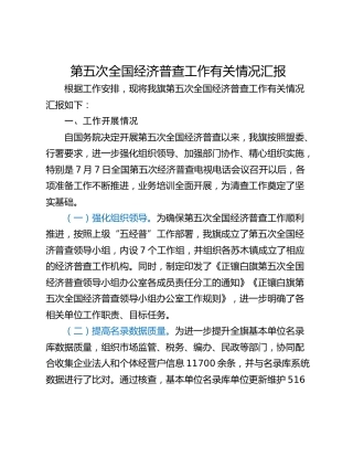 第五次全国经济普查工作有关情况汇报