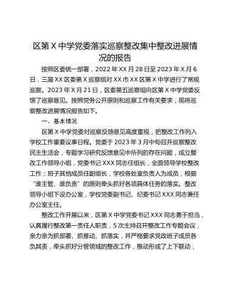 区第X中学党委落实巡察整改集中整改进展情况的报告
