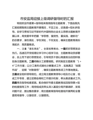 市安监局迎接上级调研督导时的汇报