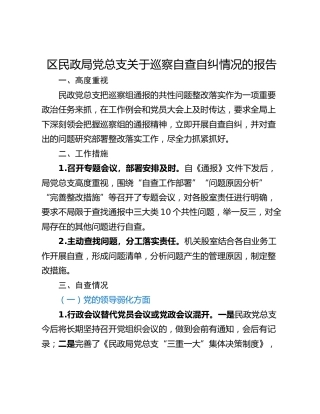 区民政局党总支关于巡察自查自纠情况的报告