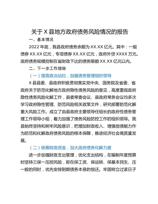关于X县地方政府债务风险情况的报告