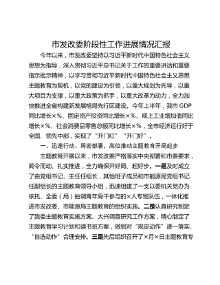 市发改委阶段性工作进展情况汇报