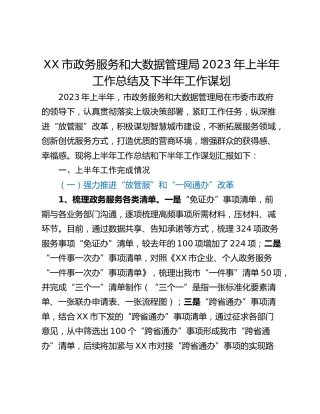 XX市政务服务和大数据管理局2023年上半年工作总结及下半年工作谋划