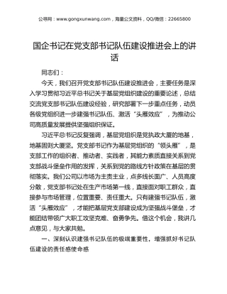 国企公司书记在党支部书记队伍建设推进会上的讲话