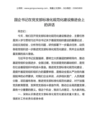 国企公司书记在党支部标准化规范化建设推进会上的讲话