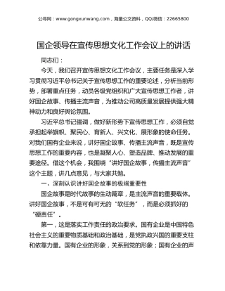 国企公司领导在宣传思想文化工作会议上的讲话