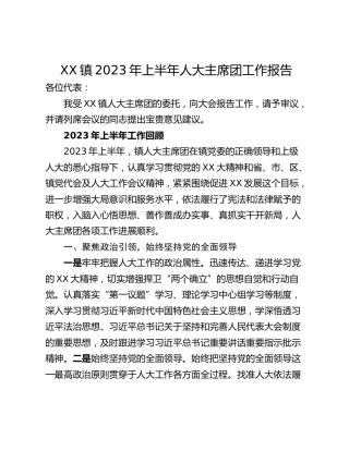 XX镇2023年上半年人大主席团工作报告
