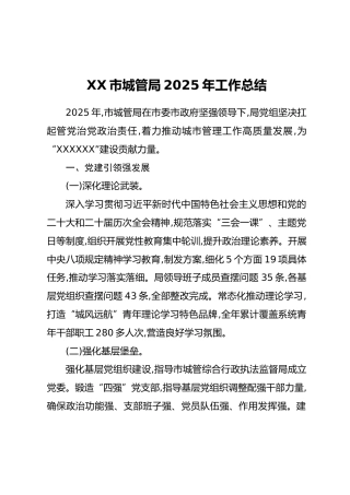 XX市城管局2025年工作总结