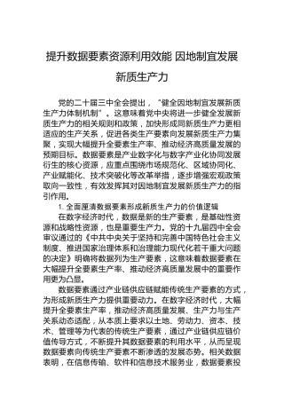 提升数据要素资源利用效能因地制宜发展新质生产力