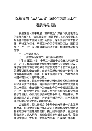 区粮食局“三严三治”深化作风建设工作进展情况报告