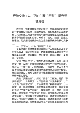 经验交流：以“四心”聚“四型”提升党建质效