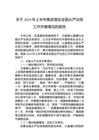 关于2024年上半年推进落实全面从严治党工作开展情况的报告
