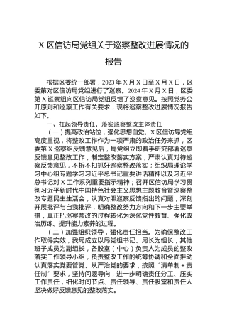 X区信访局党组关于巡察整改进展情况的报告
