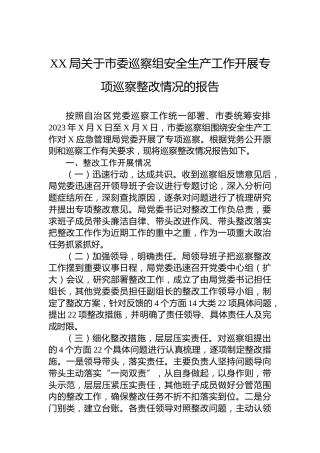 XX局关于市委巡察组安全生产工作开展专项巡察整改情况的报告
