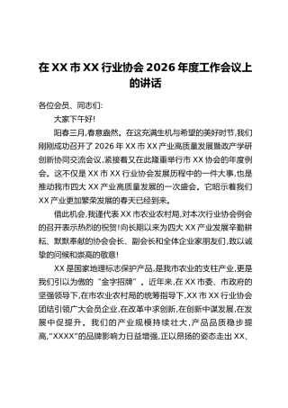 在XX市XX行业协会2026年度工作会议上的讲话