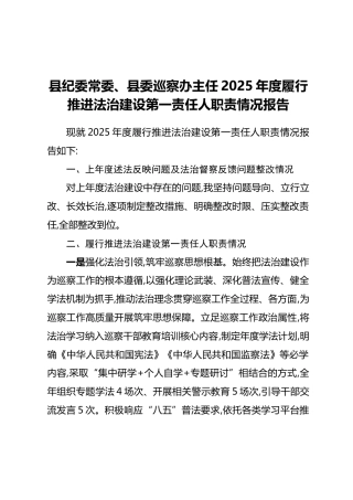 县纪委常委、县委巡察办主任2025年度履行推进法治建设第一责任人职责情况报告