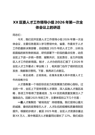XX区委人才工作领导小组2026年第一次全体会议上的讲话