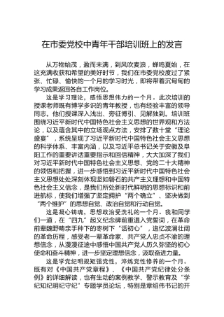 在市委党校中青年干部培训班上的发言