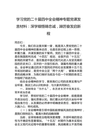学习党的二十届四中全会精神专题党课发言材料：深学细悟铸忠诚，踔厉奋发启新程