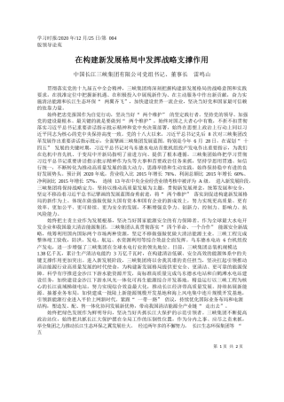 2020.12.25中国长江三峡集团有限公司党组书记、董事长雷鸣山：在构建新发展格局中发挥战略支撑作用