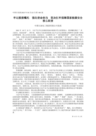 中国石油化工集团有限公司党组：牢记殷殷嘱托强化使命担当坚决扛牢保障国家能源安全核心职责