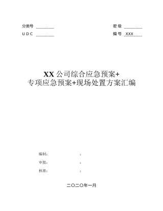 XX企业综合预案专项预案处置方案大汇编（207页）