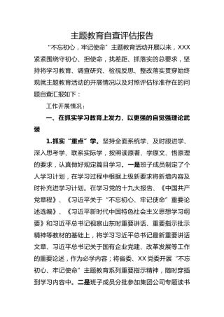 企业自查评估报告