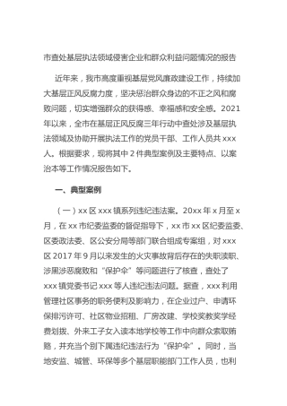 市查处基层执法领域侵害企业和群众利益问题情况的报告