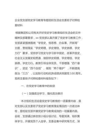 企业党支部党史学习教育专题组织生活会支委班子对照检查材料