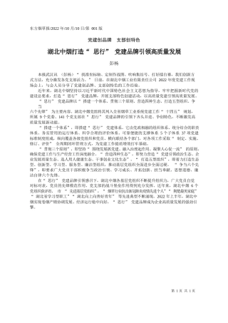 彭杨：湖北中烟打造思行党建品牌引领高质量发展