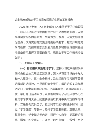 企业党支部党史学习教育专题组织生活会工作报告