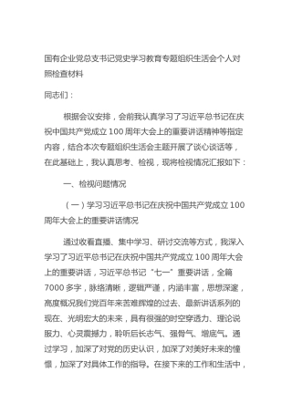 国有企业党总支书记党史学习教育专题组织生活会个人对照检查材料