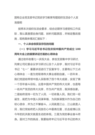 国有企业党支部书记党史学习教育专题组织生活会个人发言提纲
