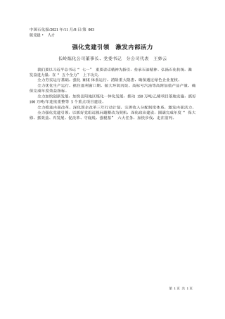 长岭炼化公司董事长、党委书记分公司代表王妙云：强化党建引领激发内部活力