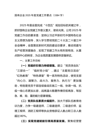 国有企业2025年度党建工作要点（3384字）