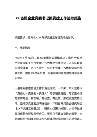 XX省属企业党委书记抓党建工作述职报告