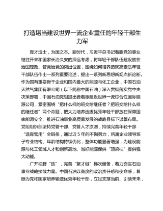 打造堪当建设世界一流企业重任的年轻干部生力军