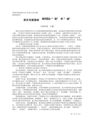 2020.09.30市国资委江澜：抓实党建基础筑牢国企根和魂
